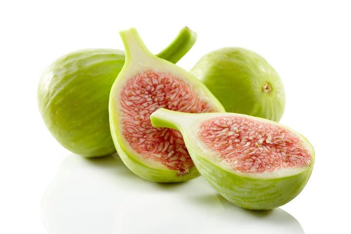 Kadota Green Fig Tree Plant