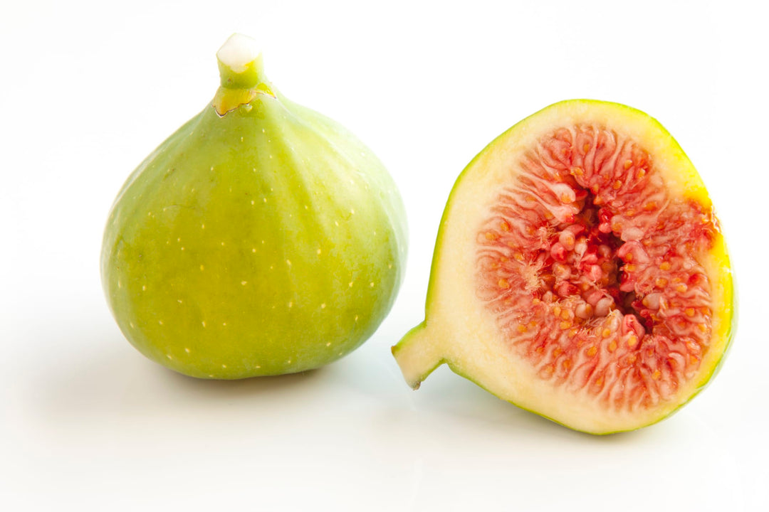 Kadota Green Fig Tree Plant