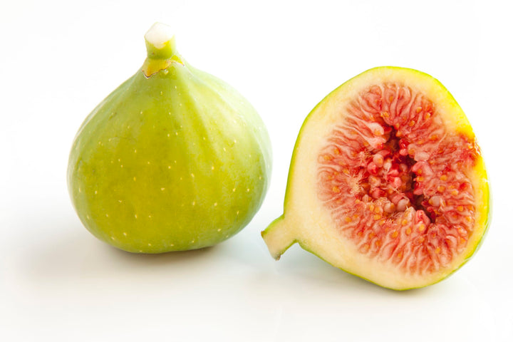 Kadota Green Fig Tree Plant