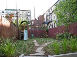 Zoysia tenuifolia Korean Grass - Flat