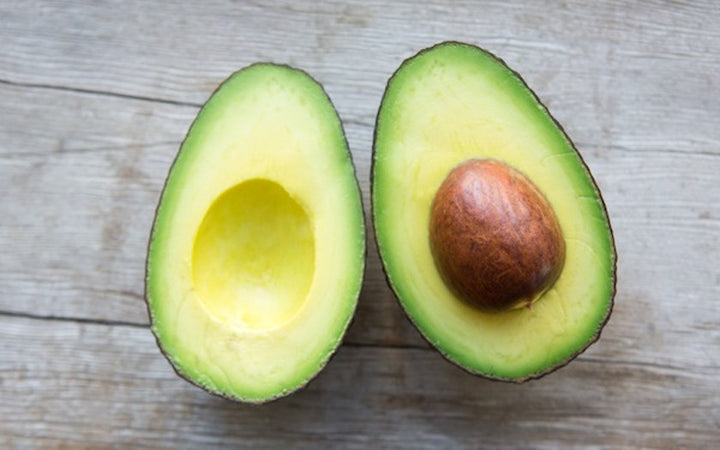 Lamb Hass Avocado Tree - 15 Gallon