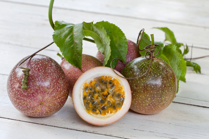 Passion Fruit Vine -  15 Gallon