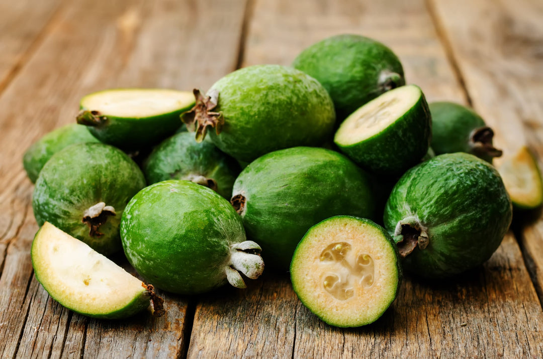 Pin Guava Pineapple Guava - 15 Gallon Bush