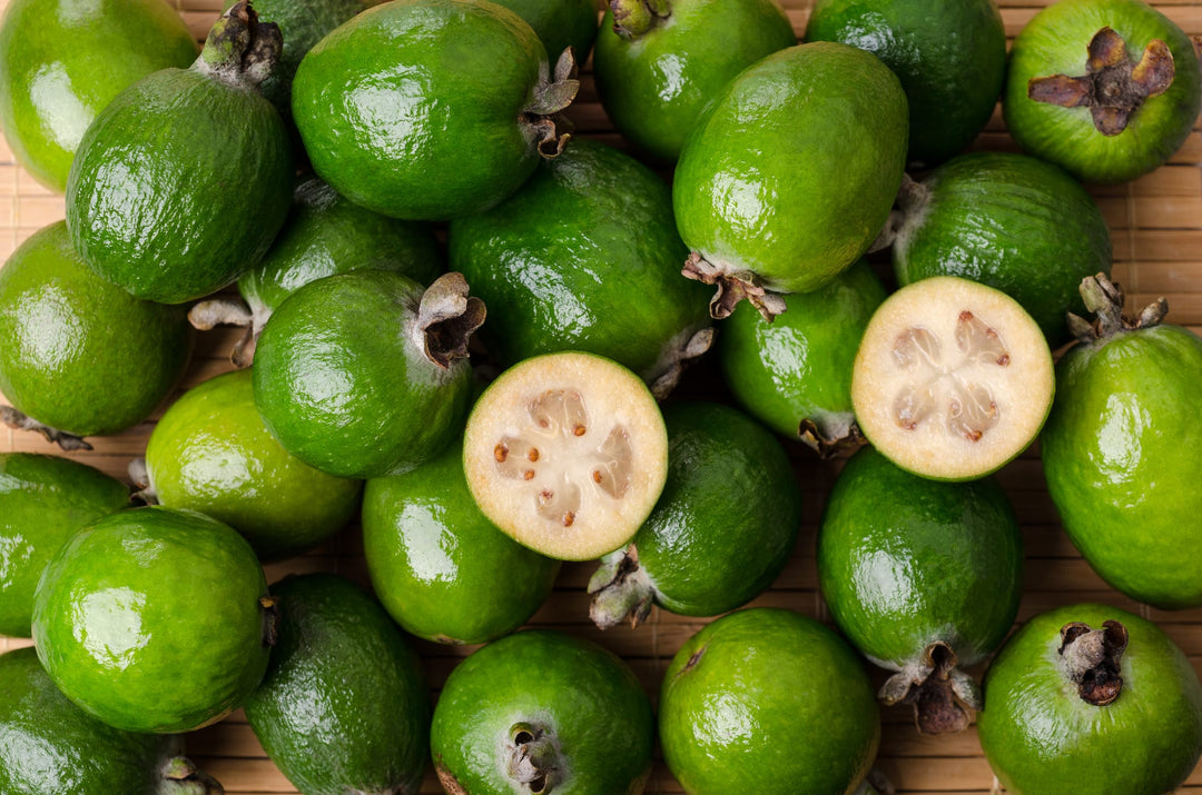 Pin Guava Pineapple Guava - 15 Gallon Bush