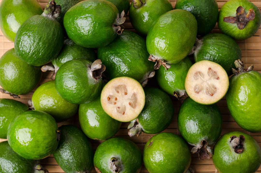 Pineapple Guava - 15 Gallon Bush