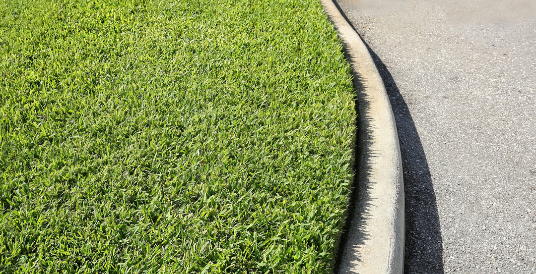 St. Augustine Grass - Flat