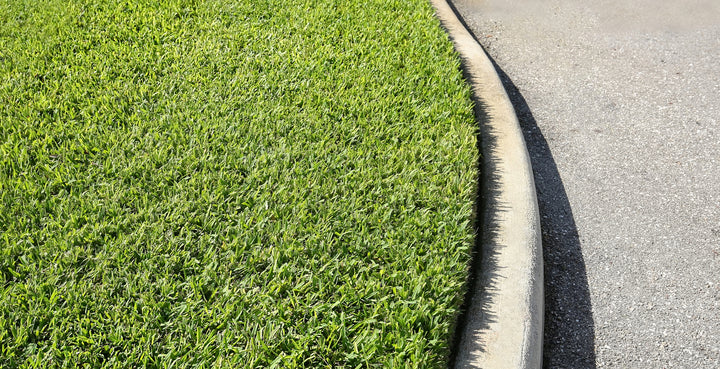 St. Augustine Grass - Flat