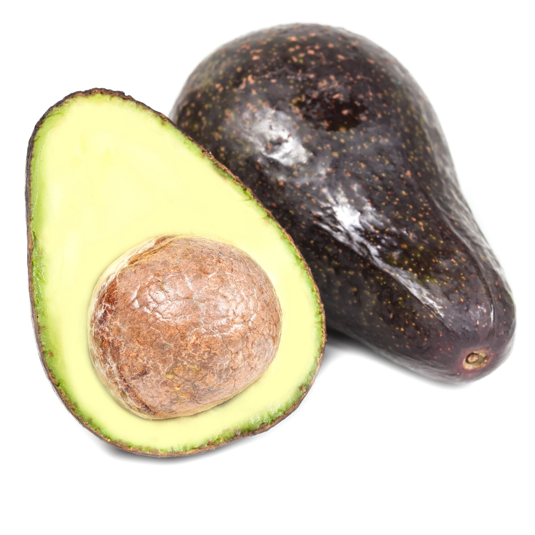 Stewart Avocado Tree - 24" Box