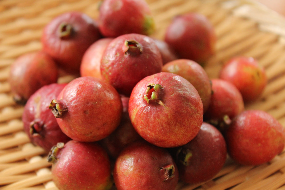 Strawberry Guava Tree - 15 Gallon