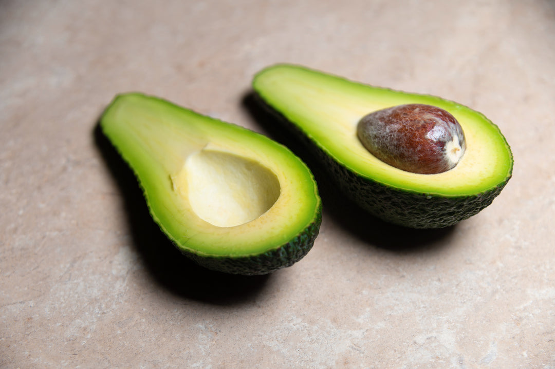 Zutano Avocado Tree - 24" Box