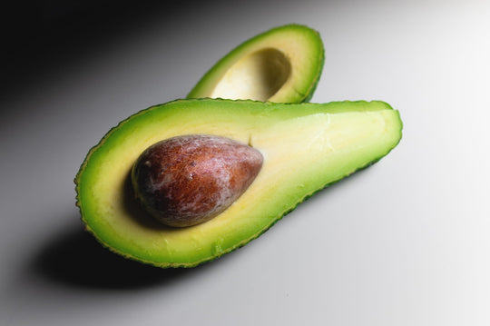 Zutano Avocado Tree - 24" Box
